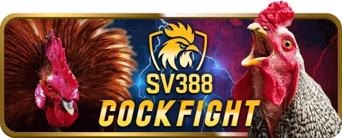 Hoàn trả thể thao rich888